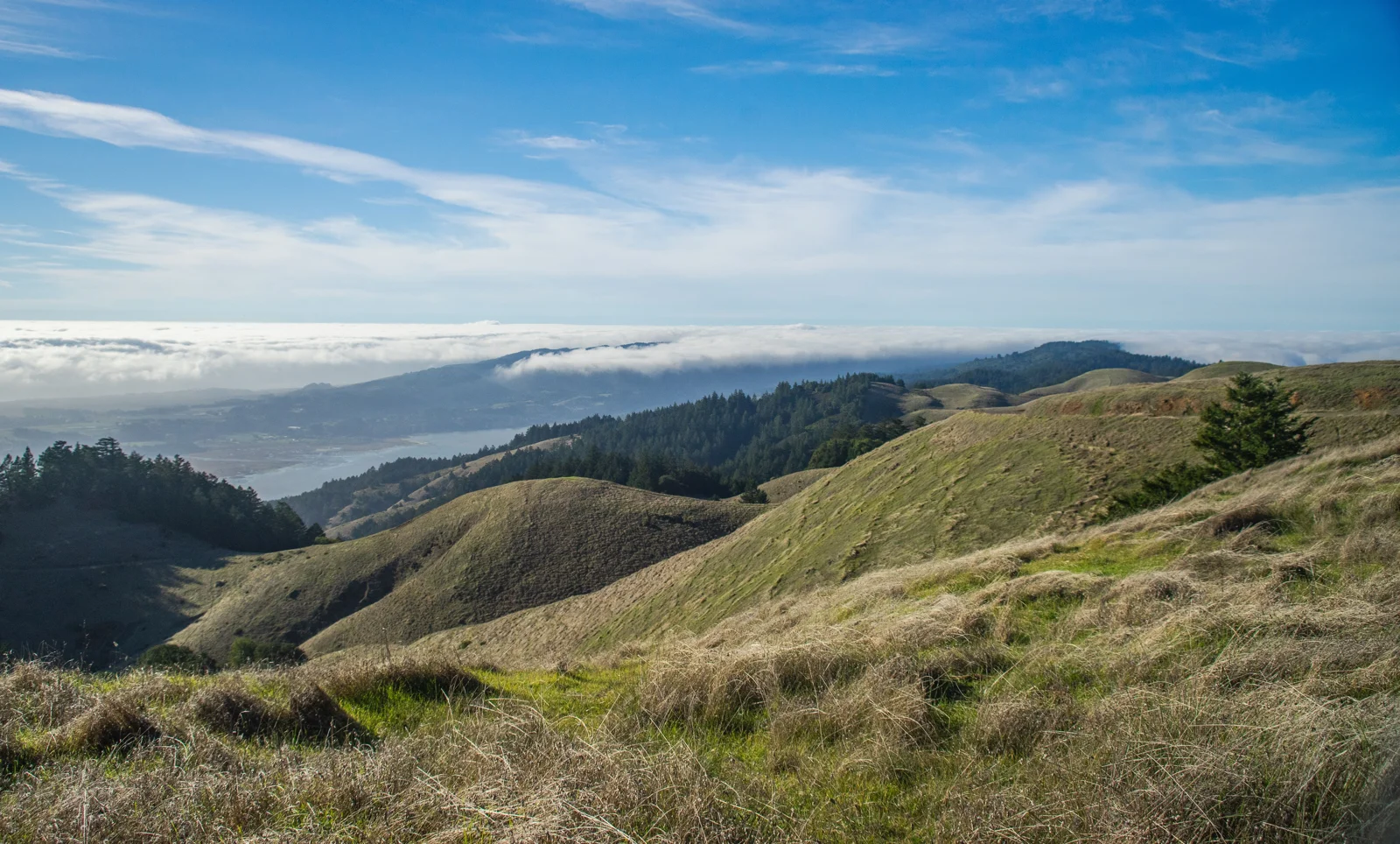 Open hills, coastal fog, and a distant horizon